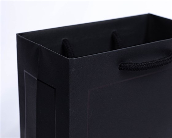 SL Paper bag