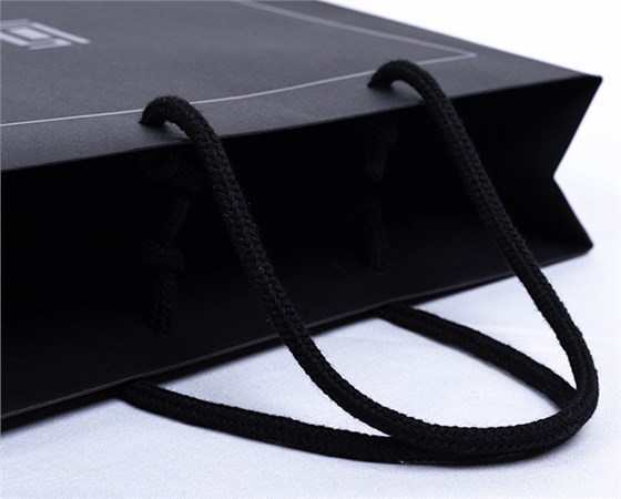 SL Paper bag