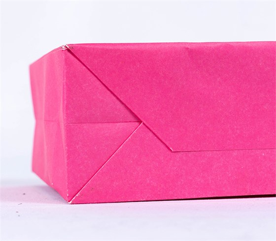 Dior Paper bag