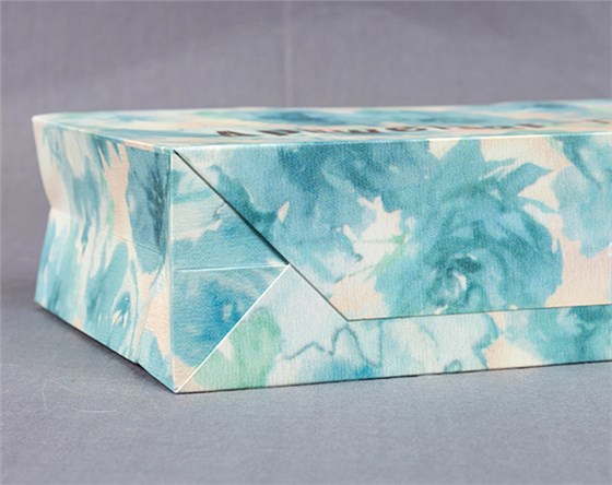 Apuweiser-riche paper bag