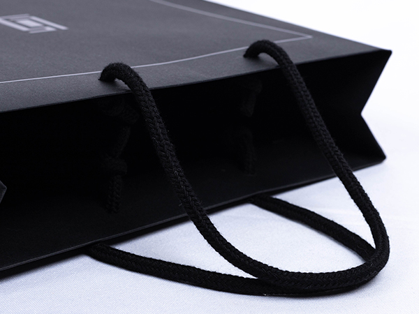 SL Paper bag