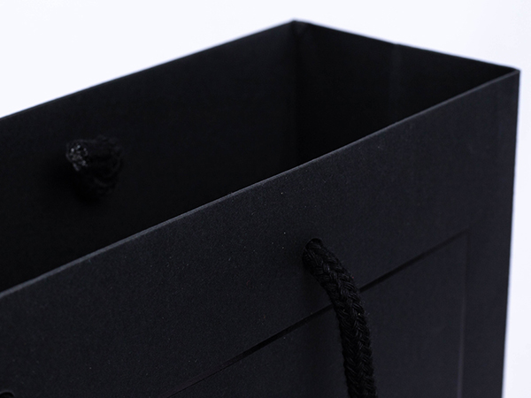 SL Paper bag