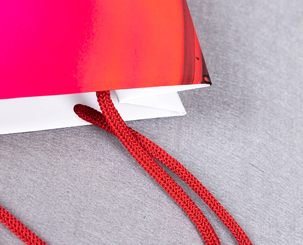 SHISEIDO Paper bag